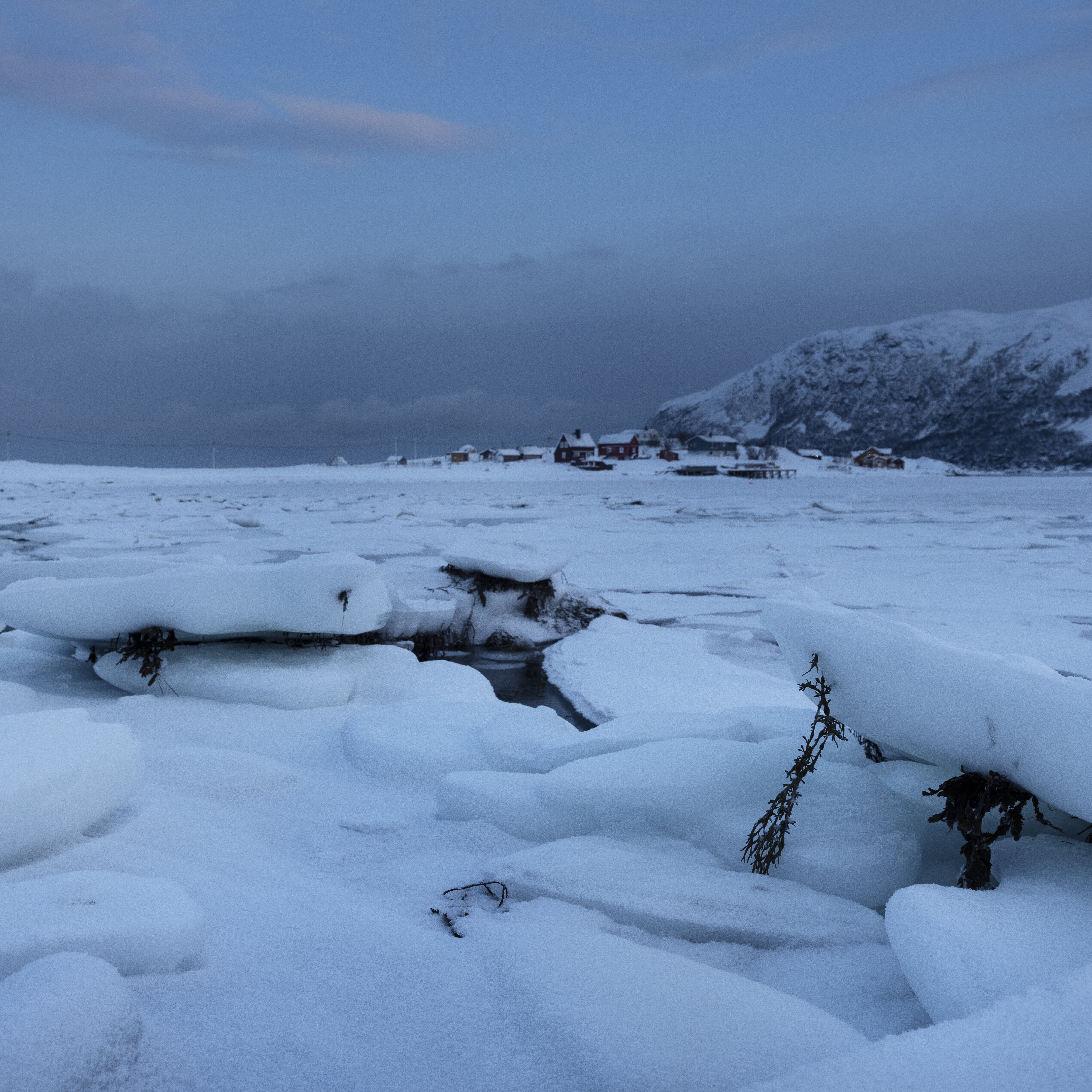 Fiorde norueguês no inverno